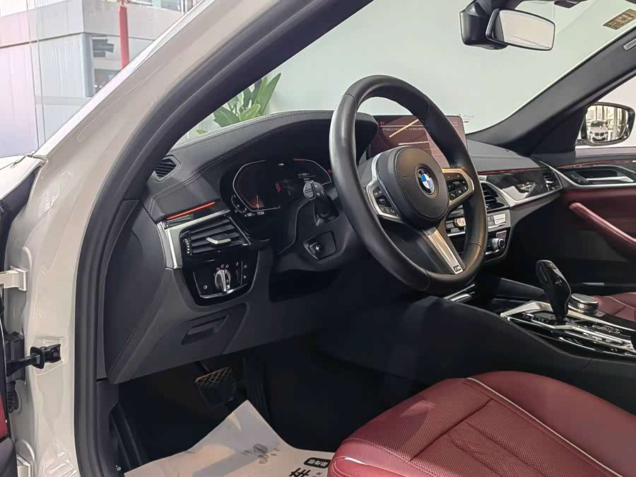 BMW 5 Series 2021 car image #8