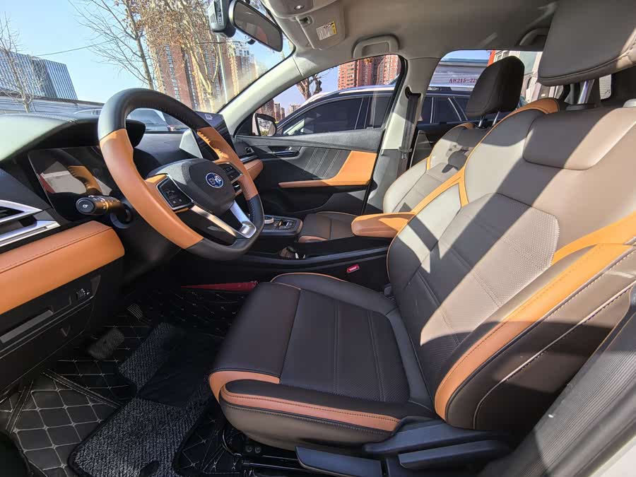 BYD e2 2020 изображение автомобиля #8