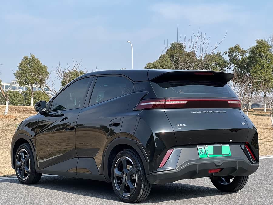 BYD Seagull 2023 #8 BYD Seagull 2023 imagen de coche #8