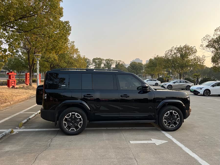 FangChengBao Tiger 7 2025 car image #8