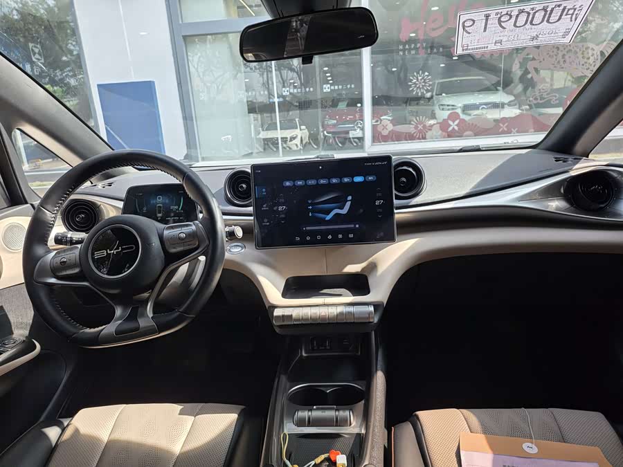 BYD Dolphin 2023 car image #8