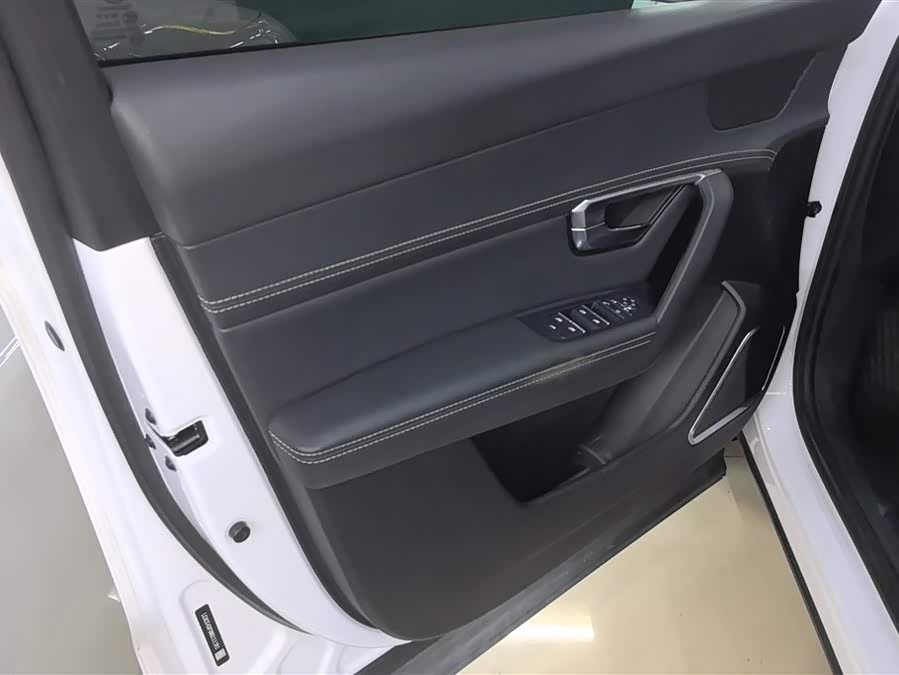 BYD Song Pro 2021 car image #8