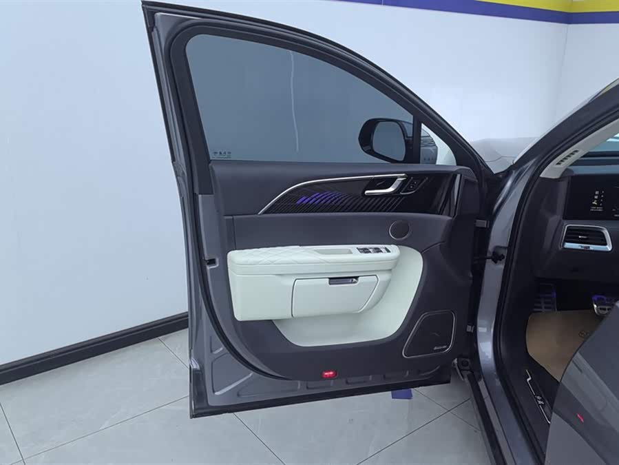 HongQi E-HS9 2023 image de voiture #8