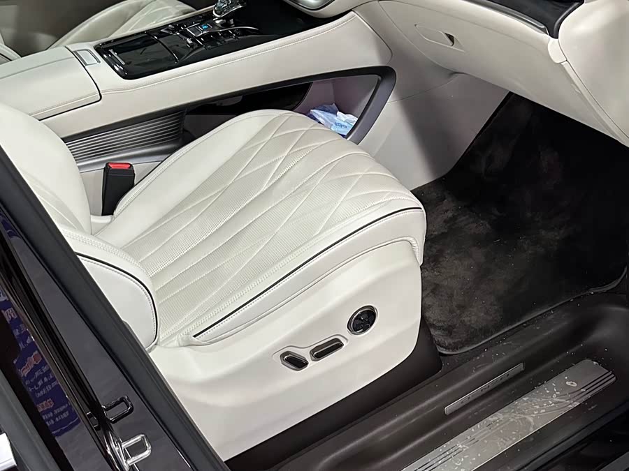 Denza D9 2024 imagen de coche #8