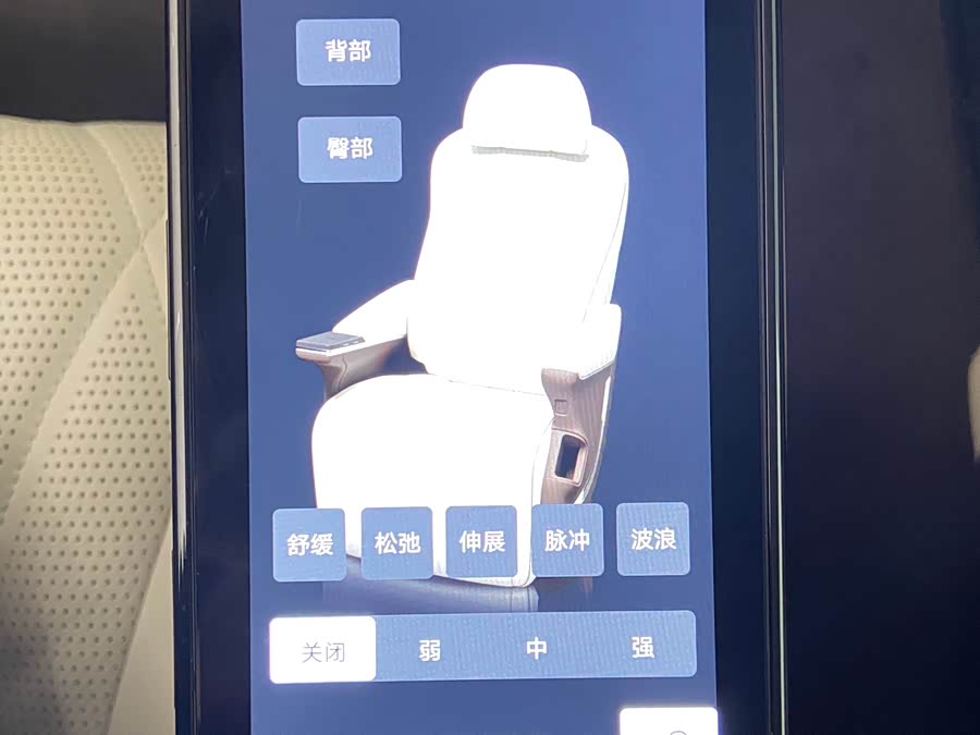 Denza D9 2024 car image #8