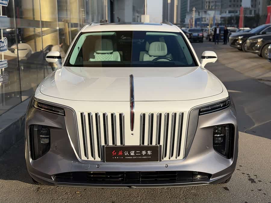 HongQi E-HS9 2022 imagen de coche #8
