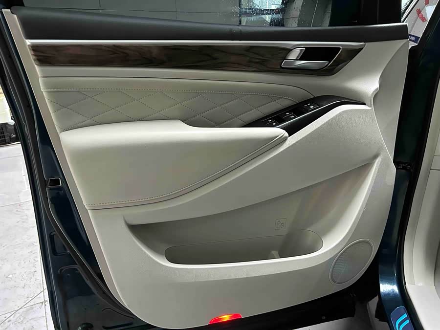 GAC Trumpchi M8 2019 car image #8