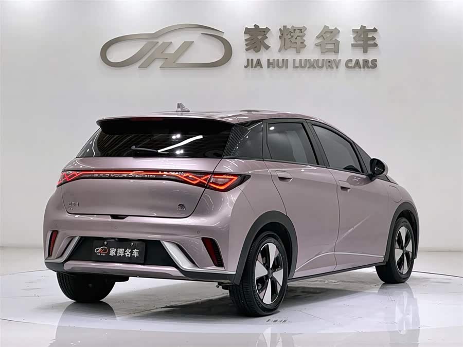 BYD Dolphin 2024 imagem de carro #8