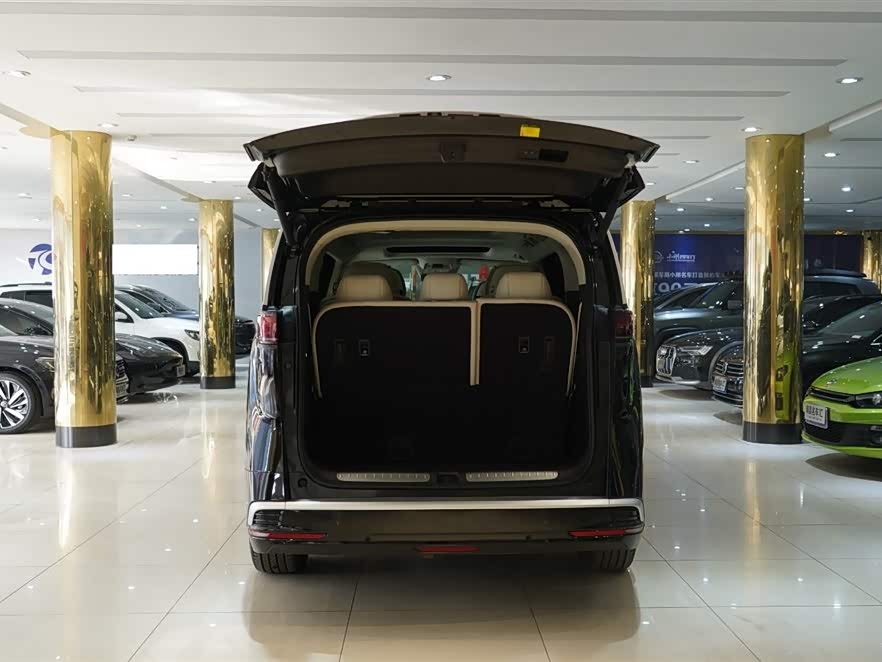 Denza D9 2024 imagem de carro #8