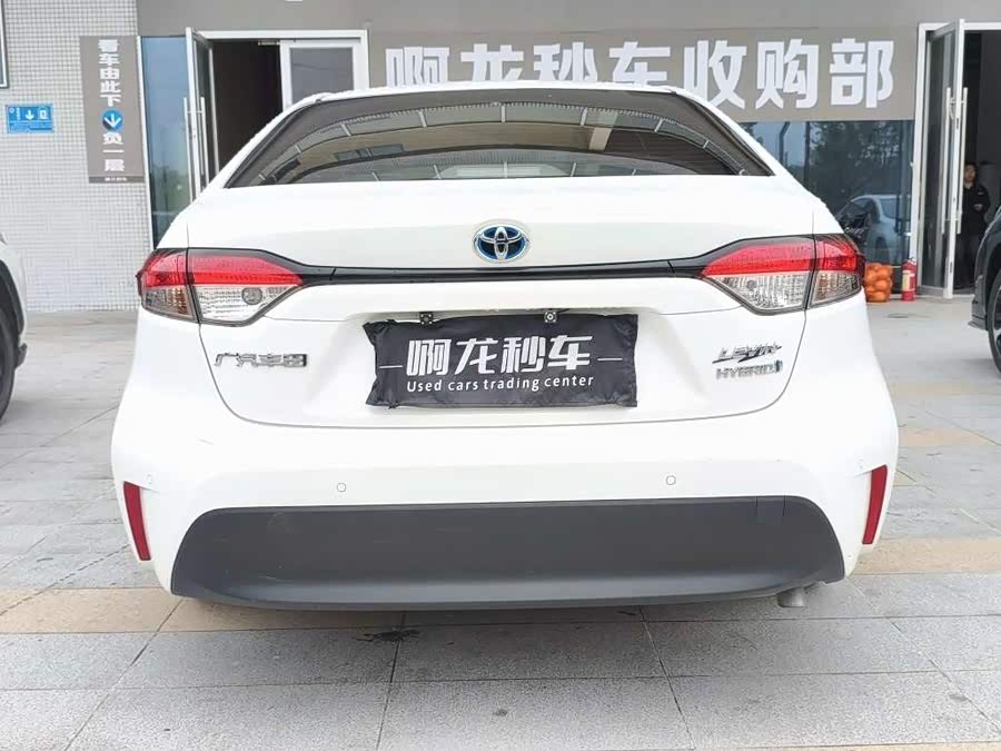 Toyota Levin 2024 car image #8