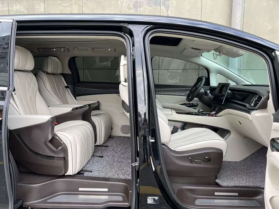 Denza D9 2024 car image #8