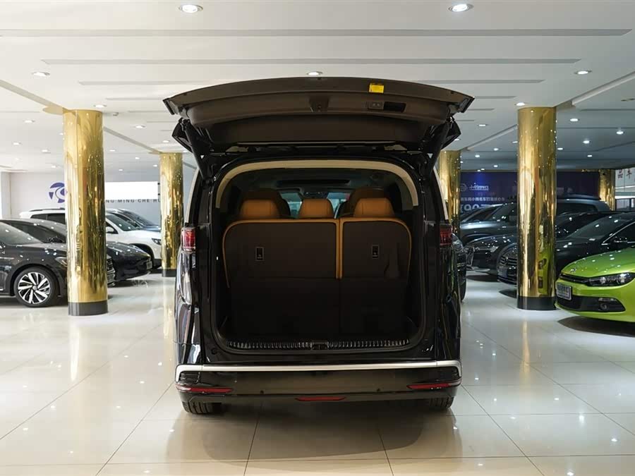 Denza D9 2025 imagen de coche #8