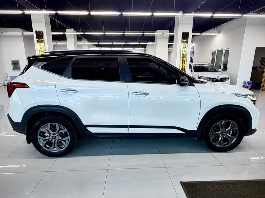 Kia Seltos 2023 imagen de coche #8