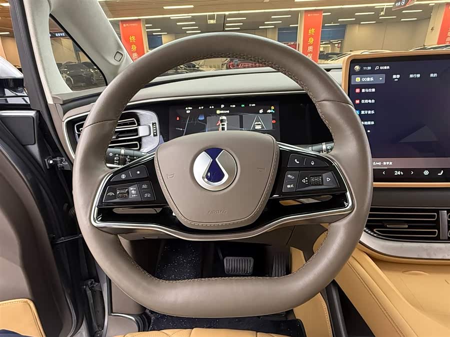 Denza D9 2023 изображение автомобиля #8