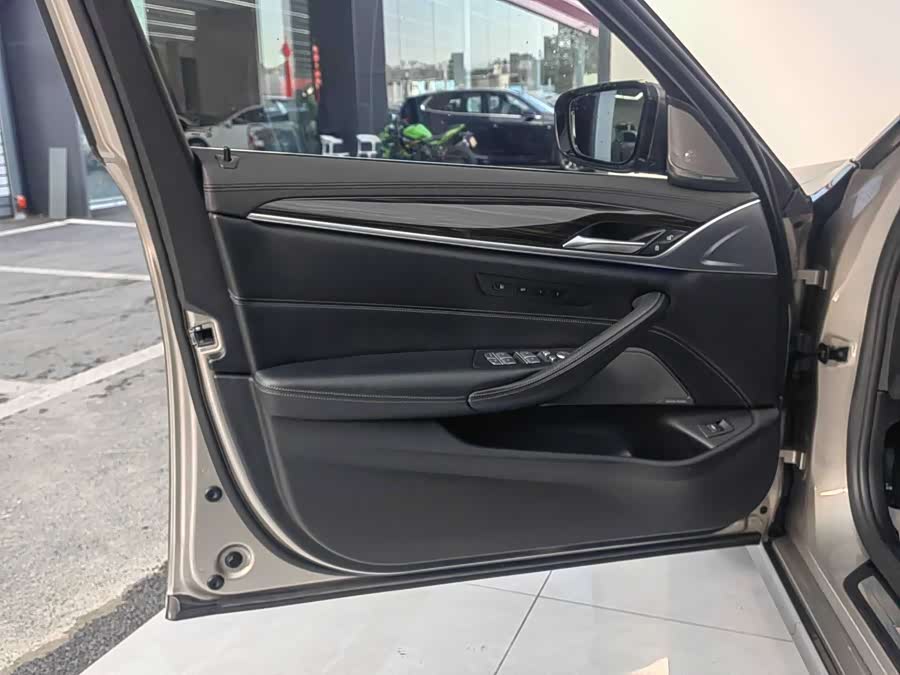 BMW 5 Series 2019 car image #8