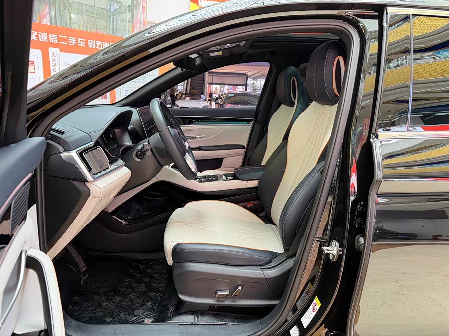 BYD Song Plus New Energy 2023 car image #8
