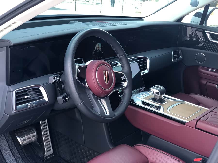 HongQi E-HS9 2021 car image #8