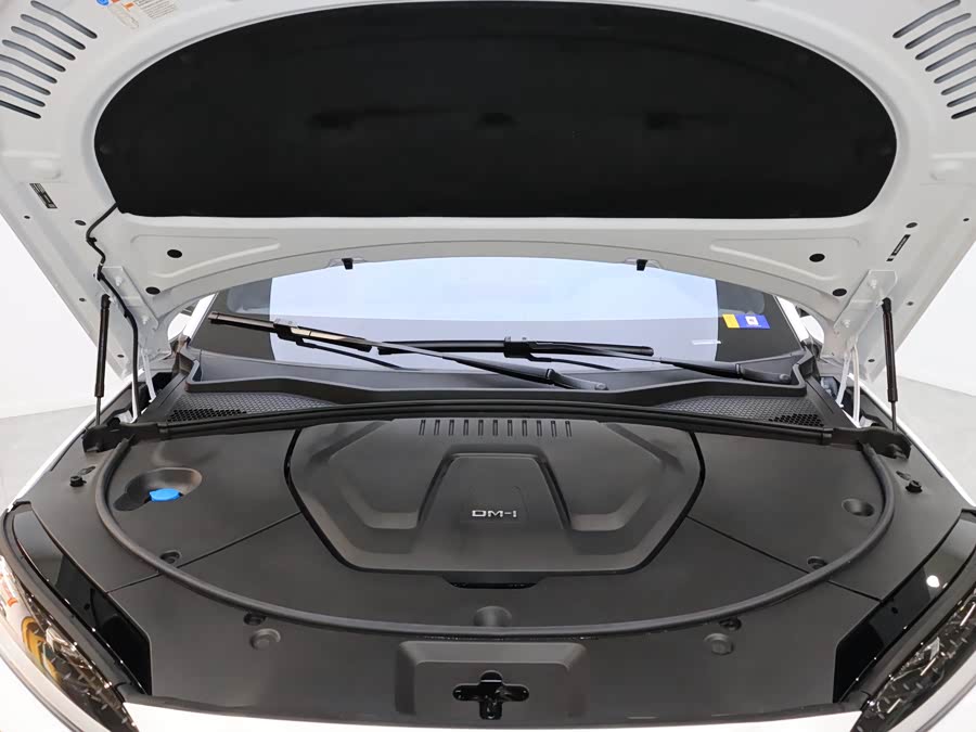 BYD Song Plus New Energy 2024 car image #8