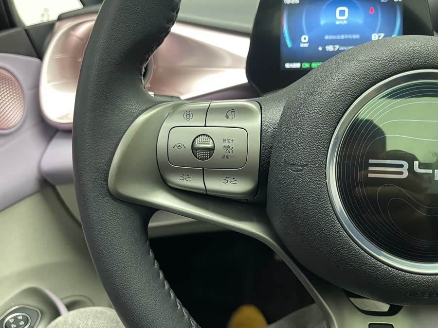 BYD Dolphin 2022 صورة سيارة #8