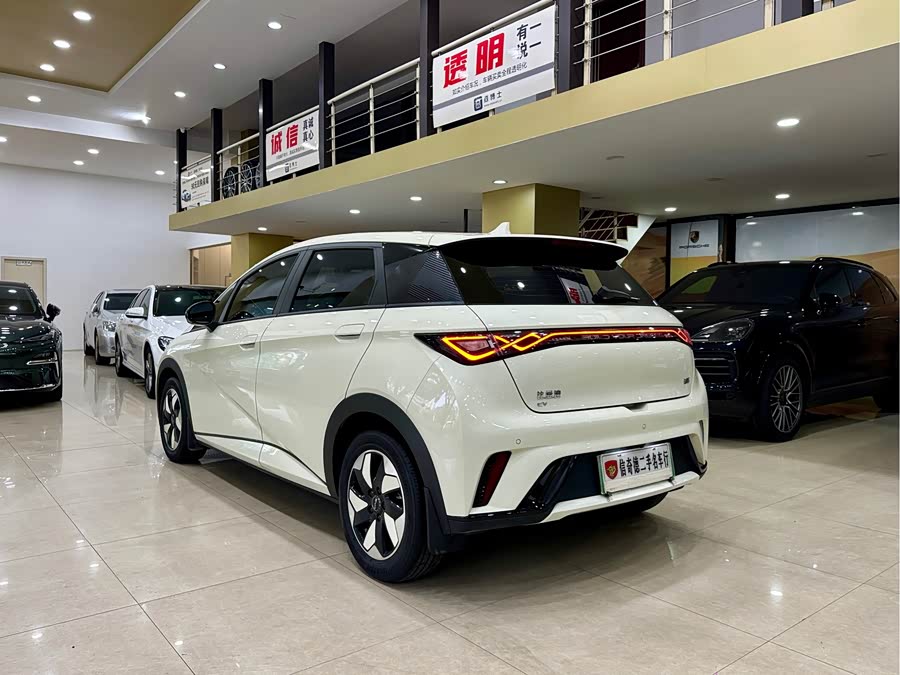 BYD Dolphin 2024 imagem de carro #8