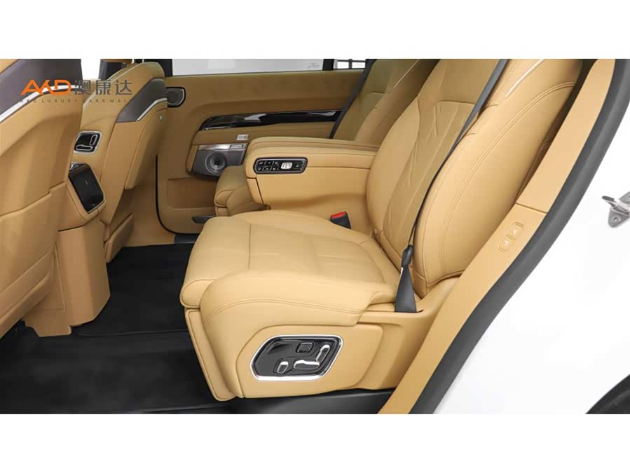 极氪 极氪9X 2026 汽车图片 #8