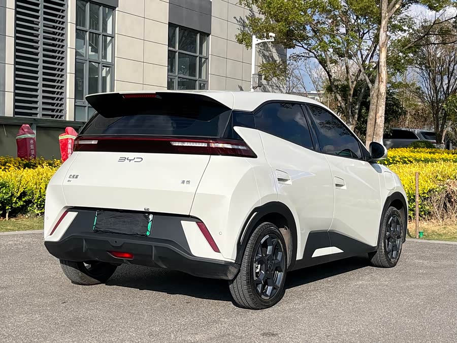 BYD Seagull 2023 immagine di auto #8