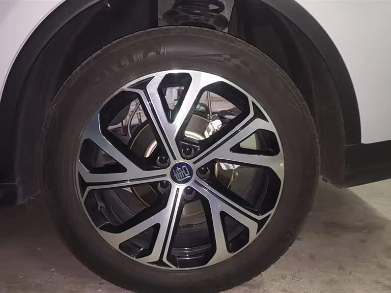 BYD Tang New Energy 2025 car image #8