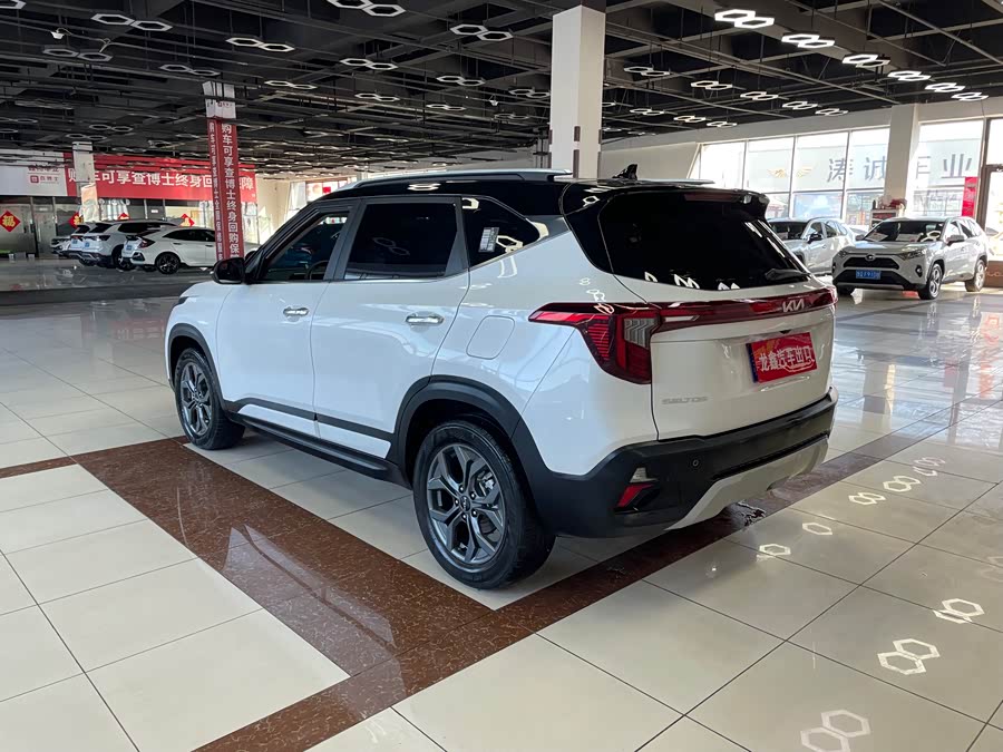 Kia Seltos 2023 imagen de coche #8