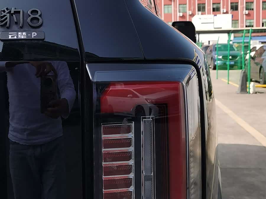 FangChengBao Leopard 8 2024 immagine di auto #8