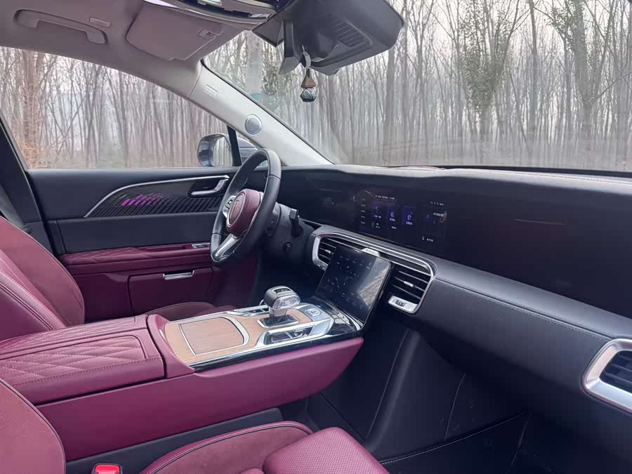 HongQi E-HS9 2021 immagine di auto #8