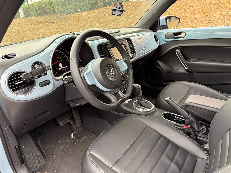 Volkswagen Beetle 2014 immagine di auto #8