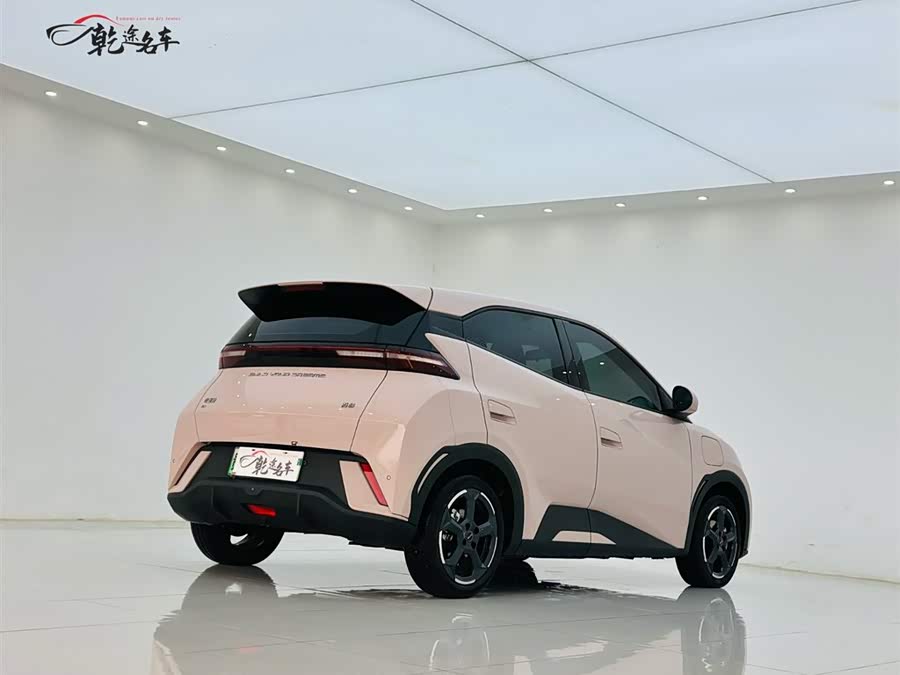 BYD Seagull 2024 car image #8