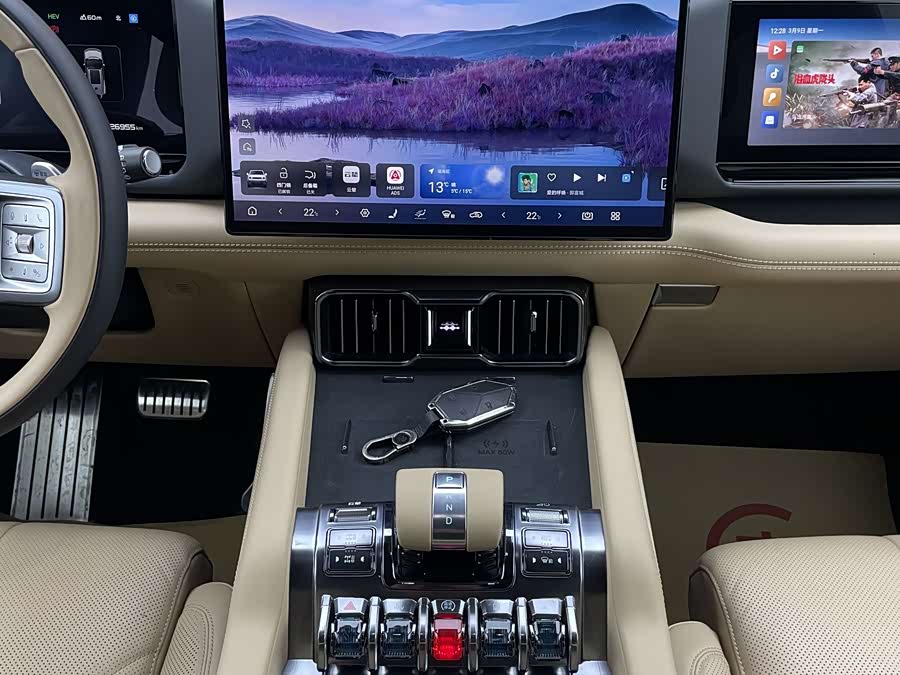 FangChengBao Leopard 8 2024 immagine di auto #8