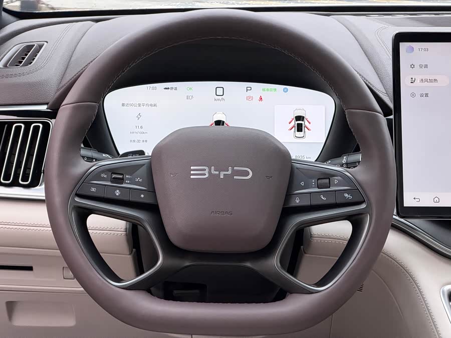 BYD Song Plus New Energy 2025 car image #8