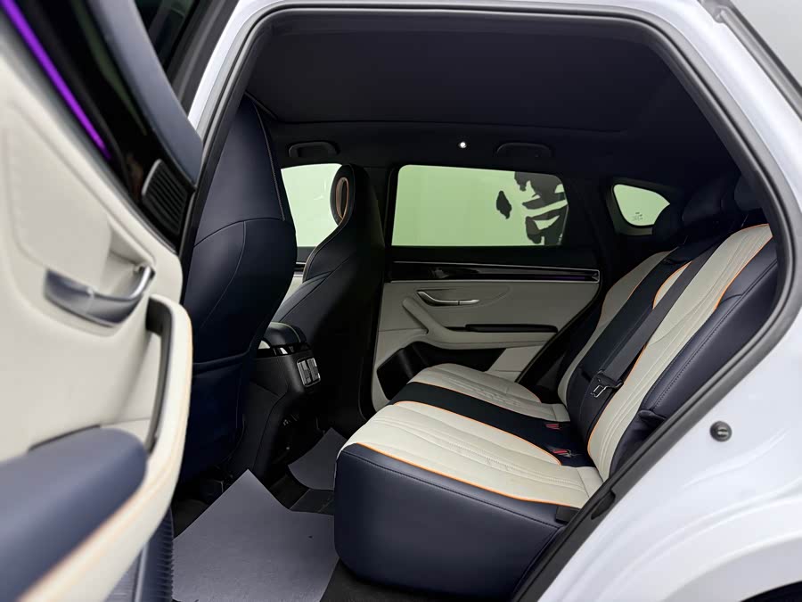 BYD Song Plus New Energy 2022 immagine di auto #8