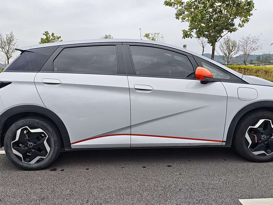 BYD Dolphin 2021 imagen de coche #8