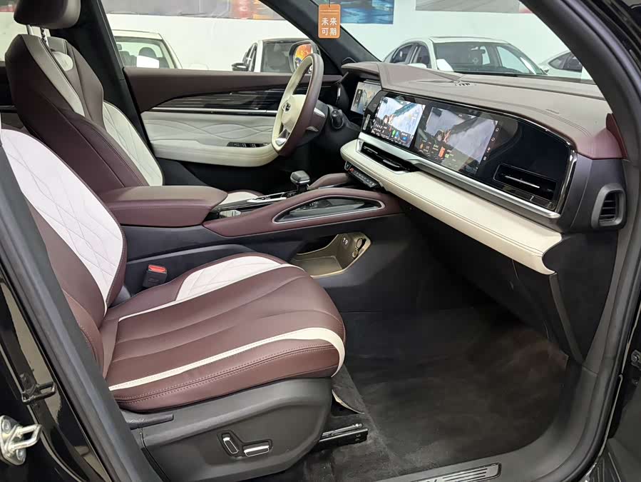 GEELY Monjaro 2023 image de voiture #8