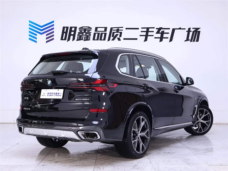 BMW X5 2025 imagen de coche #8