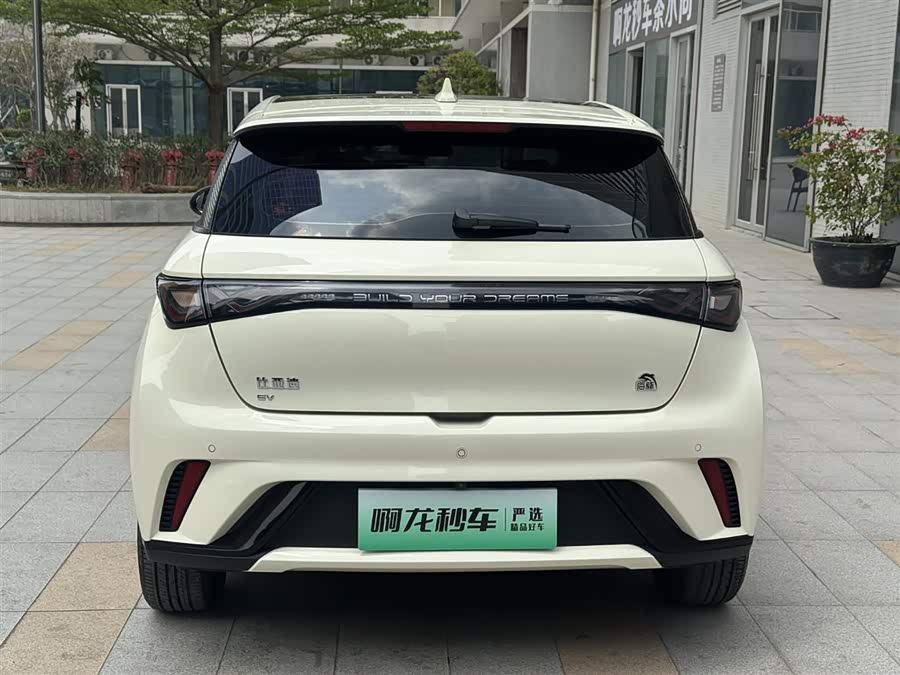 BYD Dolphin 2023 imagem de carro #8