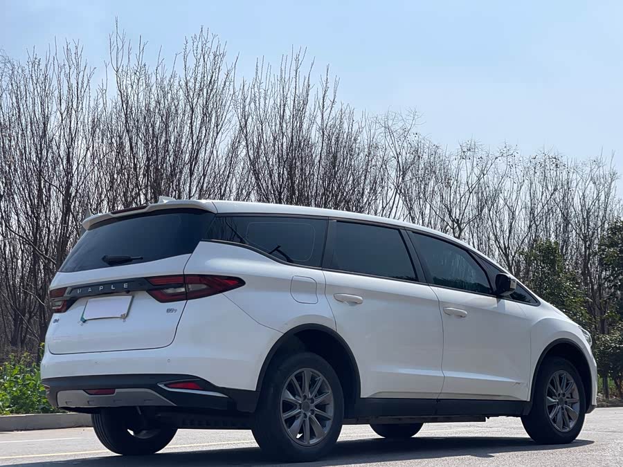 睿蓝汽车 枫叶80v 2020 汽车图片 #8