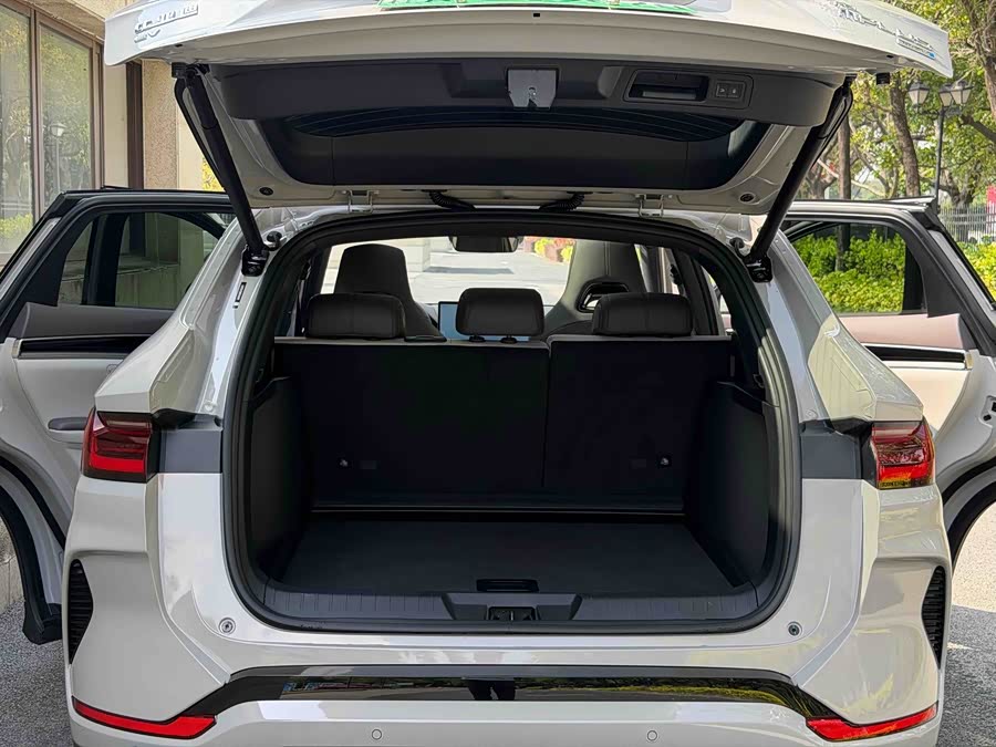 BYD Song Plus New Energy 2025 car image #8