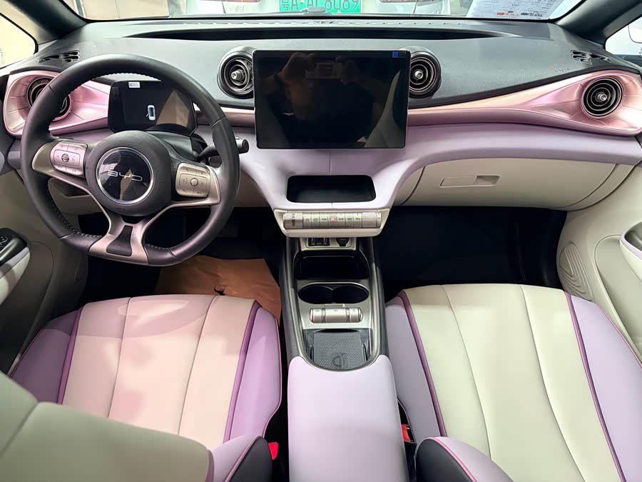 BYD Dolphin 2022 imagem de carro #8