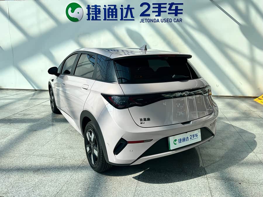 BYD Dolphin 2025 imagem de carro #8