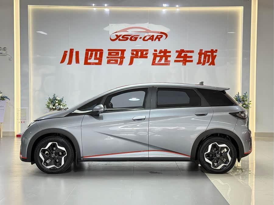 BYD Dolphin 2023 imagem de carro #8