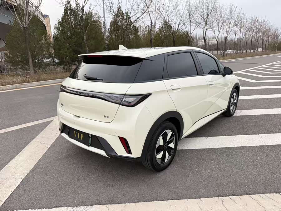 BYD Dolphin 2024 صورة سيارة #8