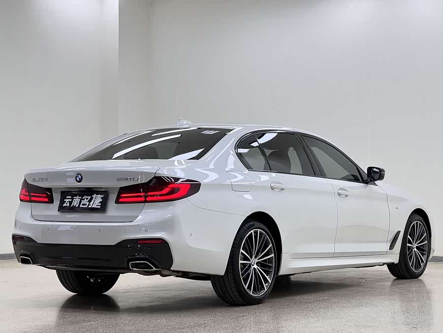 BMW 5 Series 2019 car image #8