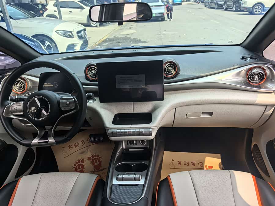 BYD Dolphin 2021 imagem de carro #8