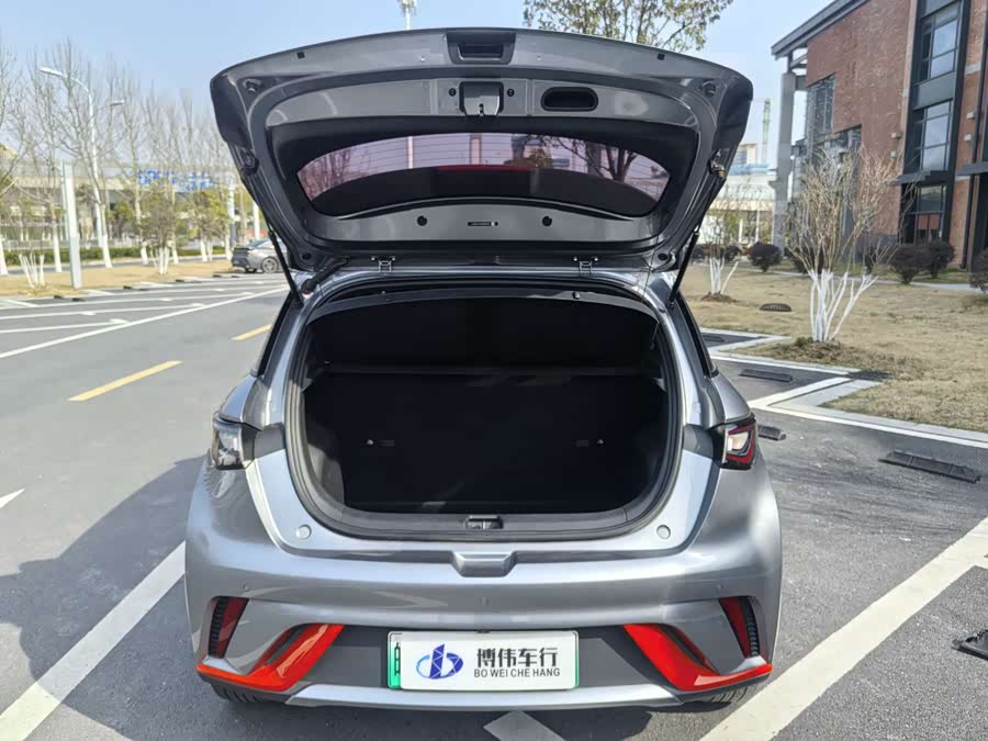 BYD Dolphin 2023 صورة سيارة #8