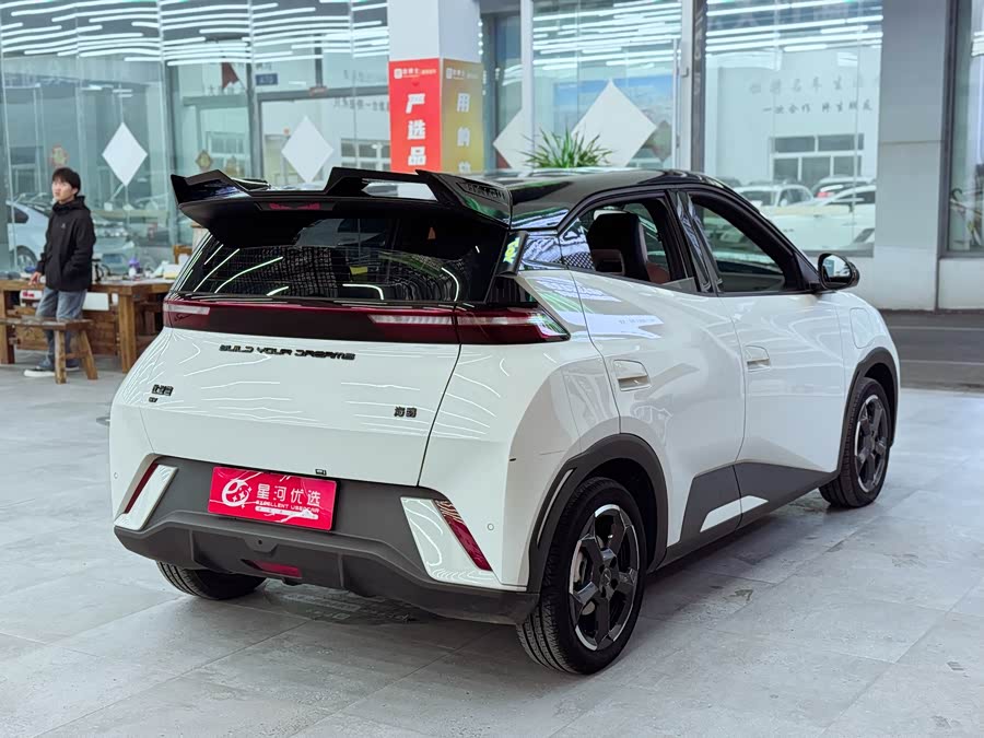 BYD Seagull 2024 immagine di auto #8