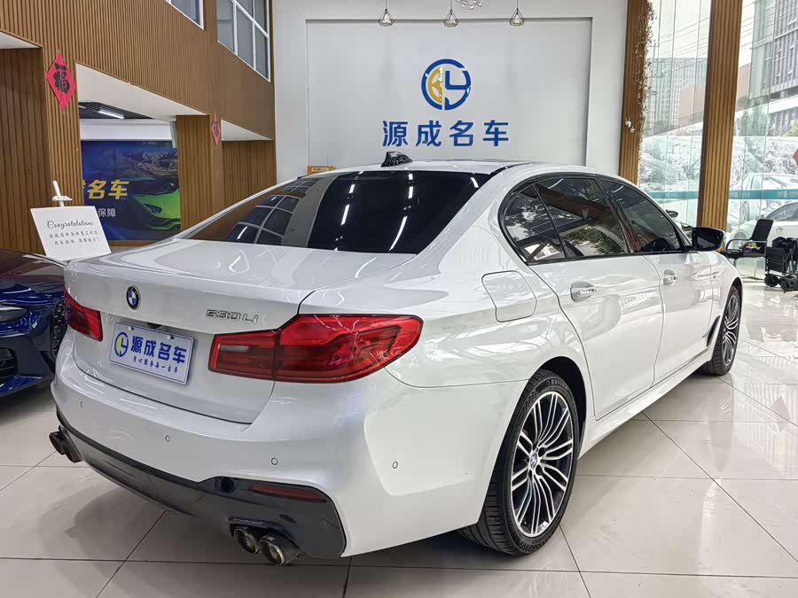 BMW 5 Series 2017 car image #8